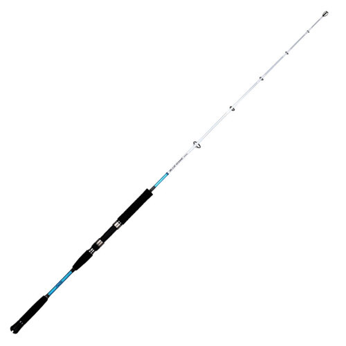 Fujin BlueGame Jigging 159 Cm 250-350 Gr Tek Parça Jig Kamışı JIG KAMIŞLARI Fujin